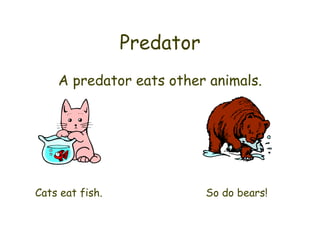 Predator A predator eats other animals. Cats eat fish. So do bears! 
