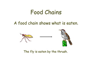 Food Chains A food chain shows what is eaten. The fly is eaten by the thrush. 