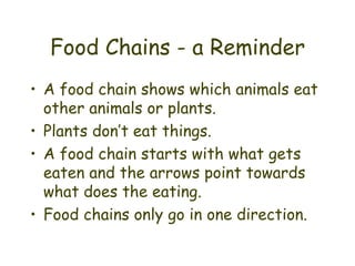 Food Chains - a Reminder A food chain shows which animals eat other animals or plants. Plants don’t eat things. A food chain starts with what gets eaten and the arrows point towards what does the eating. Food chains only go in one direction. 