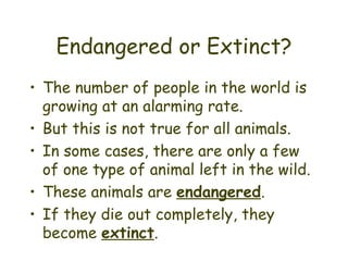 Endangered or Extinct? The number of people in the world is growing at an alarming rate. But this is not true for all animals. In some cases, there are only a few of one type of animal left in the wild. These animals are  endangered . If they die out completely, they become  extinct . 