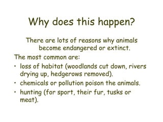Why does this happen? There are lots of reasons why animals become endangered or extinct. The most common are: loss of habitat (woodlands cut down, rivers drying up, hedgerows removed). chemicals or pollution poison the animals. hunting (for sport, their fur, tusks or meat). 