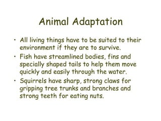 Animal Adaptation All living things have to be suited to their environment if they are to survive. Fish have streamlined bodies, fins and specially shaped tails to help them move quickly and easily through the water.  Squirrels have sharp, strong claws for gripping tree trunks and branches and strong teeth for eating nuts. 