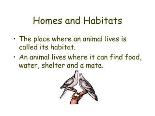 Homes and Habitats The place where an animal lives is called its habitat. An animal lives where it can find food, water, shelter and a mate. 