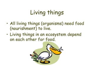 Living things All living things (organisms) need food (nourishment) to live. Living things in an ecosystem depend on each other for food. 