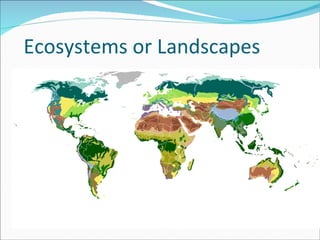 Ecosystems or Landscapes 