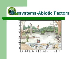 Ecosystems-Abiotic Factors 