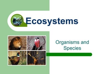 Organisms and Species Ecosystems 