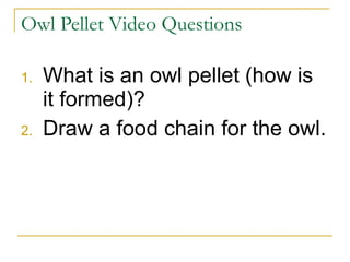 Owl Pellet Video Questions What is an owl pellet (how is it formed)? Draw a food chain for the owl. 