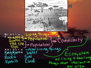 Abiotic Factors Biotic Factors 