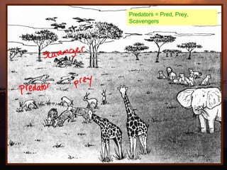 Predators = Pred, Prey, Scavengers 