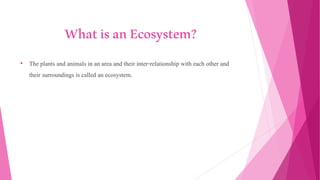 WhatisanEcosystem?
• The plants and animals in an area and their inter-relationship with each other and
their surroundings is called an ecosystem.
 