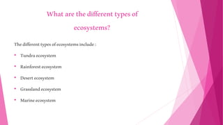 Whatarethedifferenttypesof
ecosystems?
Thedifferenttypesofecosystemsinclude:
• Tundraecosystem
• Rainforestecosystem
• Desertecosystem
• Grasslandecosystem
• Marineecosystem
 