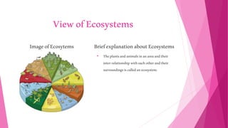 ViewofEcosystems
ImageofEcosytems BriefexplanationaboutEcosystems
• Theplantsandanimalsinanareaandtheir
inter-relationshipwitheachotherandtheir
surroundingsiscalledanecosystem.
 
