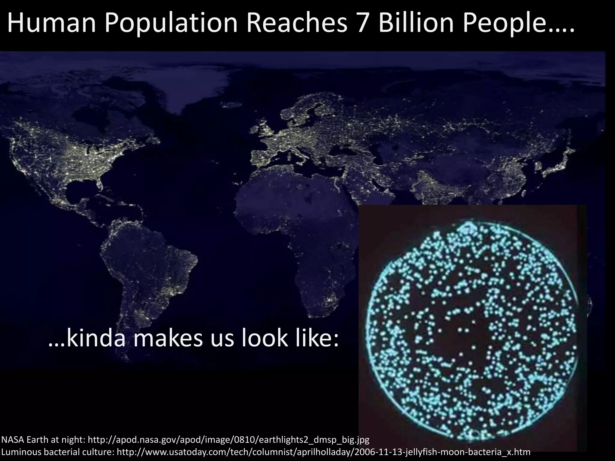 Human Population Reaches 7 Billion People….




          …kinda makes us look like:


NASA Earth at night: http://apod.nasa.gov/apod/image/0810/earthlights2_dmsp_big.jpg                                         32
Luminous bacterial culture: http://www.usatoday.com/tech/columnist/aprilholladay/2006-11-13-jellyfish-moon-bacteria_x.htm
 