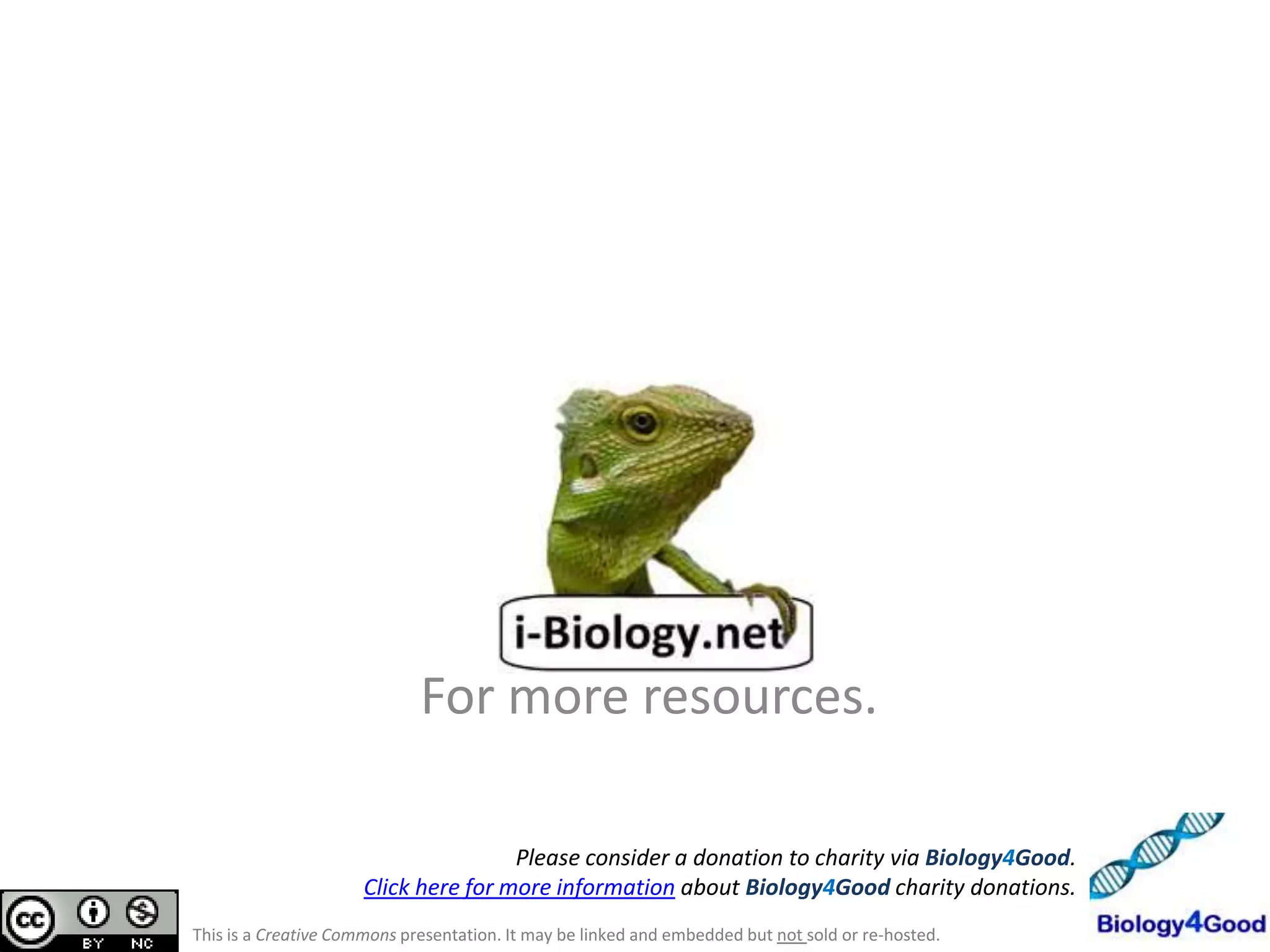For more resources.

                                      Please consider a donation to charity via Biology4Good.
                      Click here for more information about Biology4Good charity donations.
This is a Creative Commons presentation. It may be linked and embedded but not sold or re-hosted.
 