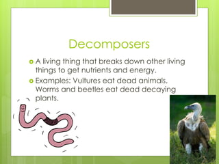 Ecosystems powerpoint