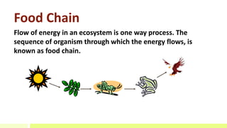 Ecosystem structure | PPTX