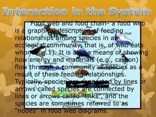 Food web and food chain- a food web
is a graphical description of feeding
relationships among species in an
ecological community, that is, of who eats
whom (fig.1). It is also a means of showing
how energy and materials (e.g., carbon)
flow through a community of species as a
result of these feeding relationships.
Typically, species are connected by lines or
arrows called species are connected by
lines or arrows called “links”, and the
species are sometimes referred to as
“nodes” in food web diagrams.
 