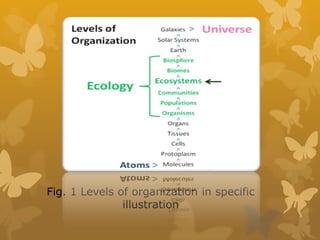 Ecosystem structure and function | PPTX