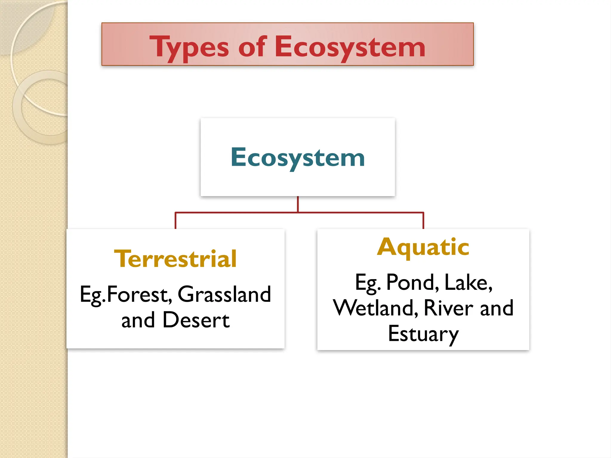 Types of Ecosystem
Ecosystem
Terrestrial
Eg.Forest, Grassland
and Desert
Aquatic
Eg. Pond, Lake,
Wetland, River and
Estuary
 