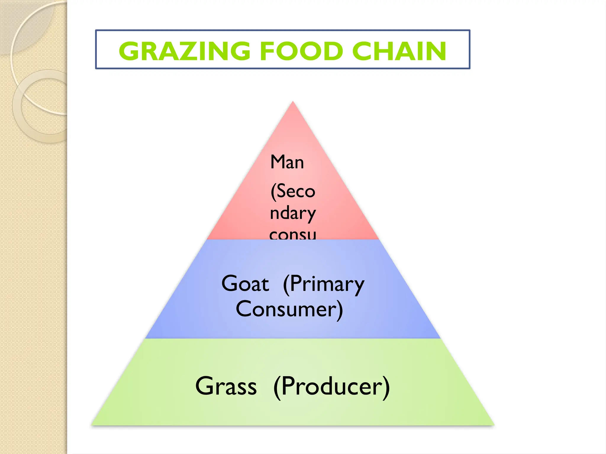GRAZING FOOD CHAIN
Man
(Seco
ndary
consu
mer)
Goat (Primary
Consumer)
Grass (Producer)
 