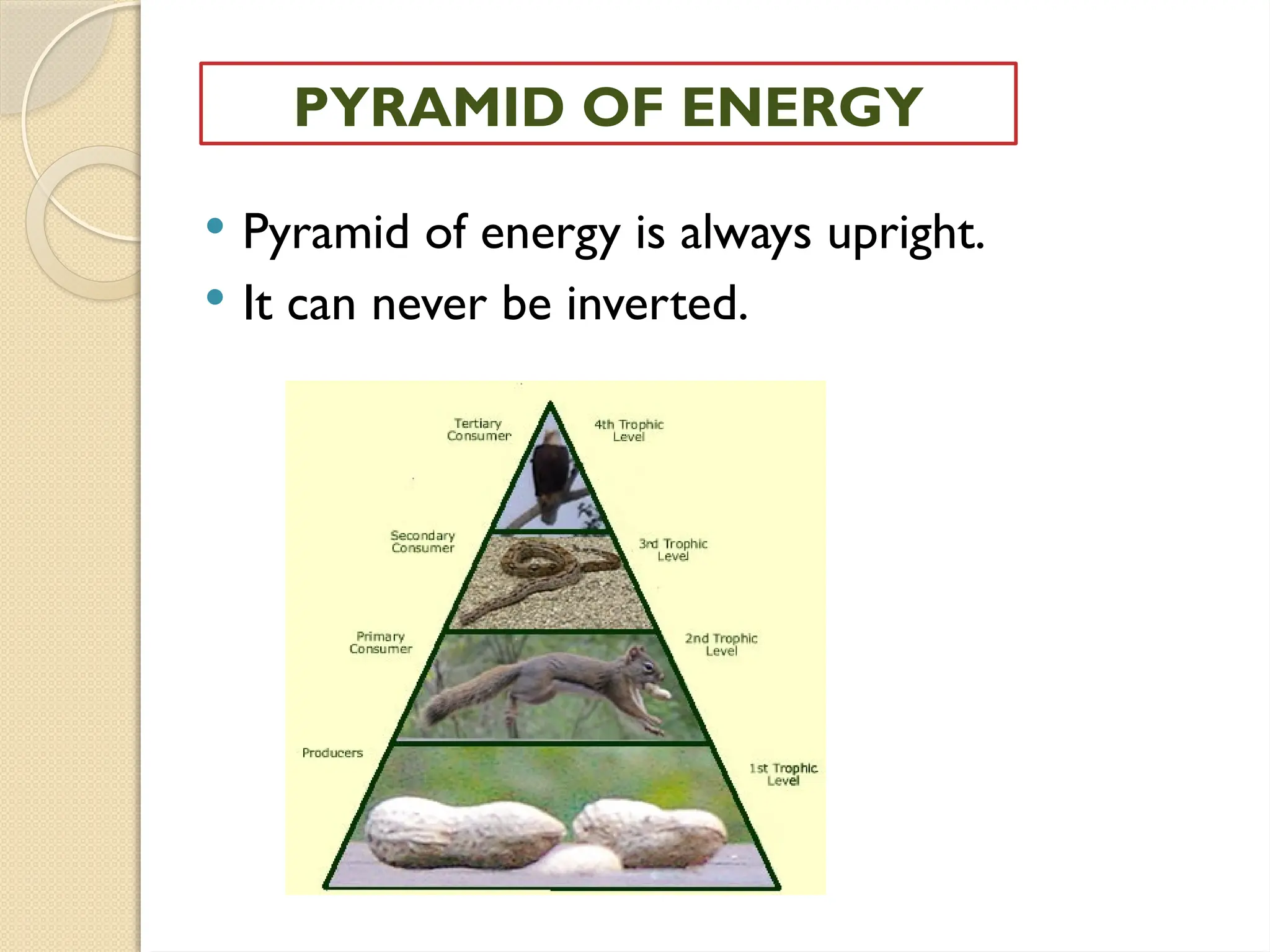  Pyramid of energy is always upright.
 It can never be inverted.
PYRAMID OF ENERGY
 