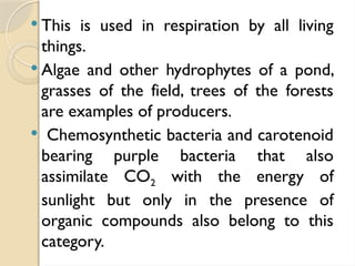  This is used in respiration by all living
things.
 Algae and other hydrophytes of a pond,
grasses of the field, trees of the forests
are examples of producers.
 Chemosynthetic bacteria and carotenoid
bearing purple bacteria that also
assimilate CO2 with the energy of
sunlight but only in the presence of
organic compounds also belong to this
category.
 