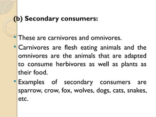 (b) Secondary consumers:
 These are carnivores and omnivores.
 Carnivores are flesh eating animals and the
omnivores are the animals that are adapted
to consume herbivores as well as plants as
their food.
 Examples of secondary consumers are
sparrow, crow, fox, wolves, dogs, cats, snakes,
etc.
 