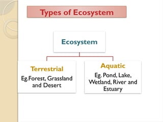 Types of Ecosystem
Ecosystem
Terrestrial
Eg.Forest, Grassland
and Desert
Aquatic
Eg. Pond, Lake,
Wetland, River and
Estuary
 