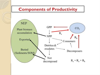 Components of Productivity
 