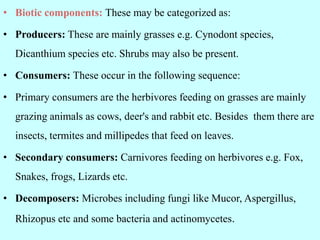 • Biotic components: These may be categorized as:
• Producers: These are mainly grasses e.g. Cynodont species,
Dicanthium species etc. Shrubs may also be present.
• Consumers: These occur in the following sequence:
• Primary consumers are the herbivores feeding on grasses are mainly
grazing animals as cows, deer's and rabbit etc. Besides them there are
insects, termites and millipedes that feed on leaves.
• Secondary consumers: Carnivores feeding on herbivores e.g. Fox,
Snakes, frogs, Lizards etc.
• Decomposers: Microbes including fungi like Mucor, Aspergillus,
Rhizopus etc and some bacteria and actinomycetes.
 