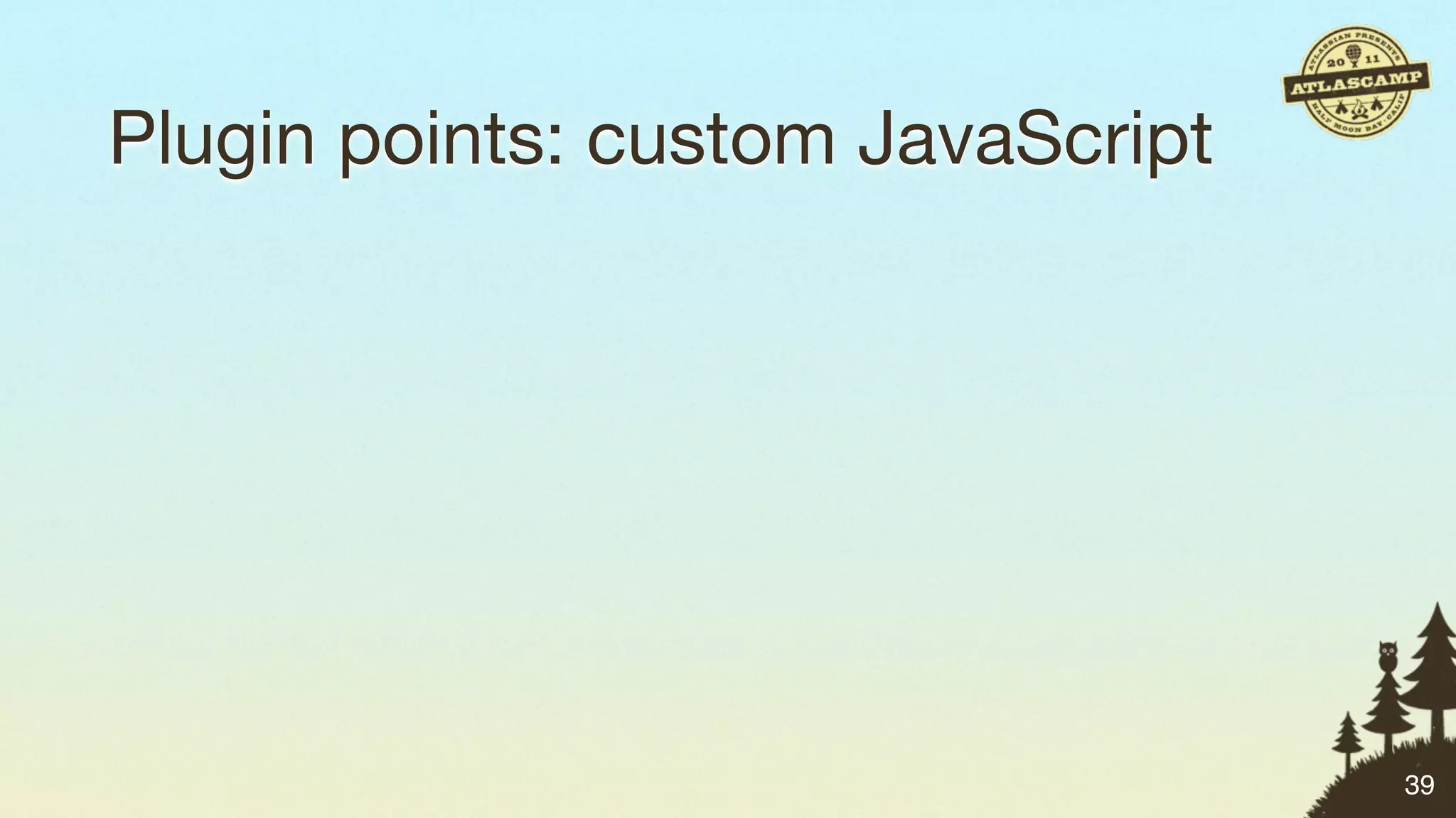Plugin points: custom JavaScript




                                   39
 