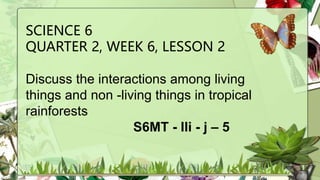 SCIENCE 6
QUARTER 2, WEEK 6, LESSON 2
Discuss the interactions among living
things and non -living things in tropical
rainforests
S6MT - IIi - j – 5
 