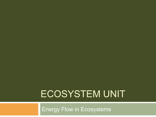 Ecosystem Unit Energy Flow in Ecosystems 