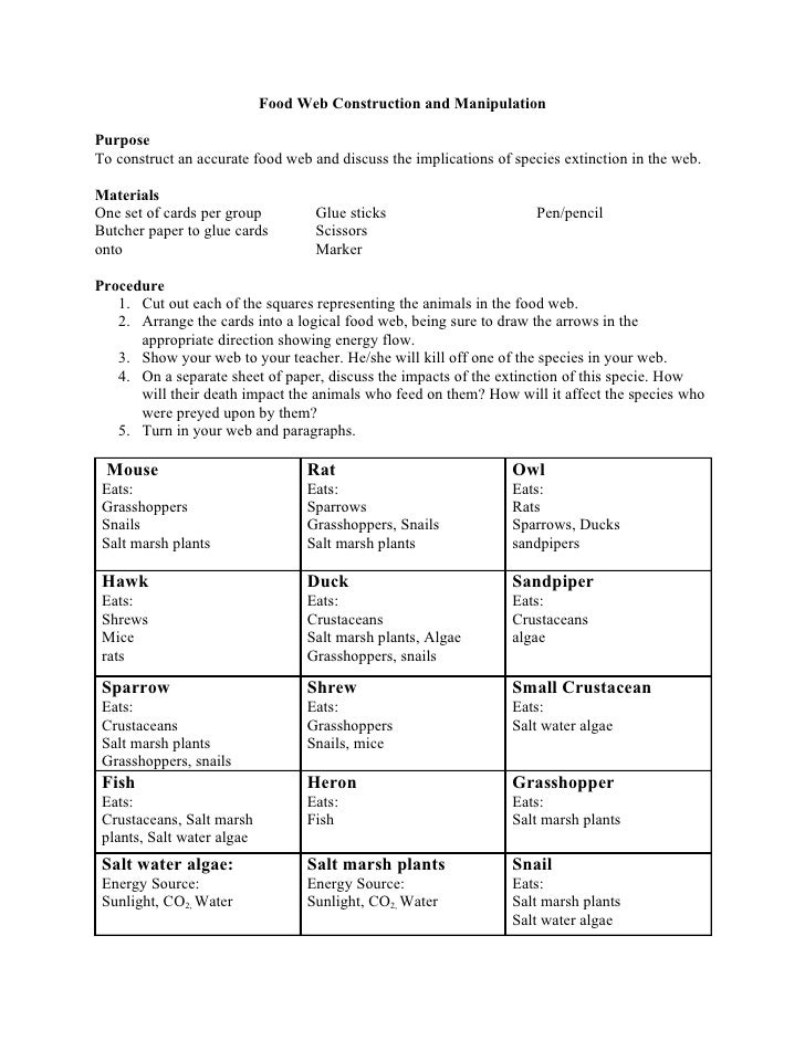 Ecosystem worksheet2