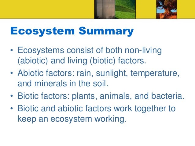 Abiotic factors in a rainforest image