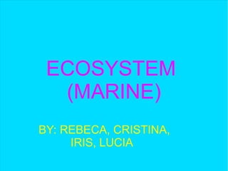 ECOSYSTEM
(MARINE)
BY: REBECA, CRISTINA,
IRIS, LUCIA
 