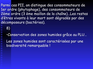 8)  Conservation des zones humides grâce au PLU… Les zones humides sont caractérisées par une biodiversité remarquable ! Parmi ces PII, on distingue des consommateurs de 1er ordre (phytophage), des consommateurs de 2ème ordre (3 ème maillon de la chaîne)…Les restes d’êtres vivants à leur mort sont dégradés par des décomposeurs (bactéries). 