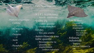 Les Nutriments
- Matière organique :
- Carbone
- C
- Hydrogène
- H
- Oxygène
- O
- Azote
- N
- Phosphore
- P
- N | P | Si (Silicium)
- Appelés nutriments
- Souffre (S)
- Grande quantité
- Oxydo-réduction
- Fer (fe)
- Très peu soluble
- Autres éléments sous
faible quantité
- Nécessaire à la vie
- Quantité en
augmentation
- Pollution industrielle
- Eau de mer
- Cocktail de
molécules
organiques
- Êtres vivants.
- Des molécules
organiques
- Pollution
industrielle
- Toxique
- Facteur limitant la
vie
 