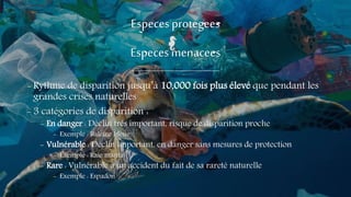 Especesprotegees
Especesmenacees
- Rythme de disparition jusqu’à 10,000 fois plus élevé que pendant les
grandes crises naturelles
- 3 catégories de disparition :
- En danger : Déclin très important, risque de disparition proche
- Exemple : Baleine bleue
- Vulnérable : Déclin important, en danger sans mesures de protection
- Exemple : Raie manta
- Rare : Vulnérable à un accident du fait de sa rareté naturelle
- Exemple : Espadon
 