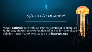 Qu’est ce qu’un ecosysteme?
-Unité naturelle constitué de tous ses composants biotiques
(animaux, plantes, micro-organismes) et des facteurs physico-
chimique (abiotiques) avec lesquels ils interagissent.
 