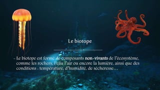 Le biotope
- Le biotope est formé de composants non-vivants de l’écosystème,
comme les rochers, l’eau l’air ou encore la lumière, ainsi que des
conditions : température, d’humidité, de sécheresse…
 