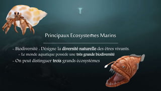 PrincipauxEcosystemes Marins
- Biodiversité : Désigne la diversité naturelle des êtres vivants.
- Le monde aquatique possède une très grande biodiversité
- On peut distinguer trois grands écosystèmes
 