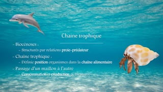 Chainetrophique
- Biocénoses :
- Structurés par relations proie-prédateur
- Chaîne trophique :
- Définie position organismes dans la chaîne alimentaire
- Passage d’un maillon à l’autre
- Consommation et production de biomasse
 