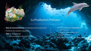 La ProductionPrimaire
- Base du fonctionnement énergétique des écosystèmes
- Synthèse de matière organique
- 99% de la biomasse
- Photoautotrophes via photosynthèse
 Niveau de production dépendant de :
• Dispo CO2
• Apport éléments minéraux
• Dispo lumière
• Producteurs primaires aquatiques variés
 