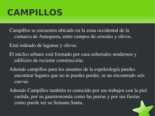 CAMPILLOS Campillos se encuentra ubicado en la zona occidental de la comarca de Antequera, entre campos de cereales y olivos.