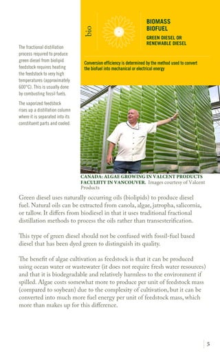5
Green diesel uses naturally occurring oils (biolipids) to produce diesel
fuel. Natural oils can be extracted from canola, algae, jatropha, salicornia,
or tallow. It differs from biodiesel in that it uses traditional fractional
distillation methods to process the oils rather than transesterification.
This type of green diesel should not be confused with fossil-fuel
based diesel that has been dyed green to distinguish its quality.
The benef it of algae cultivation as feedstock is that it can be produced
using ocean water or wastewater (it does not require fresh water resources)
and that it is biodegradable and relatively harmless to the environment if
spilled. Algae costs somewhat more to produce per unit of feedstock mass
(compared to soybean) due to the complexity of cultivation, but it can be
converted into much more fuel energy per unit of feedstock mass, which
more than makes up for this difference.
The fractional distillation
process required to produce
green diesel from biolipid
feedstock requires heating
the feedstock to very high
temperatures (approximately
600°C). This is usually done
by combusting fossil fuels.
The vaporized feedstock
rises up a distillation column
where it is separated into its
constituent parts and cooled.
BIOMASS
BIOFUEL
GREEN DIESEL OR
RENEWABLE DIESEL
bio
CANADA: ALGAE GROWING IN VALCENT PRODUCTS
FACULITY IN VANCOUVER. Images courtesy of Valcent
Products
Conversion efficiency is determined by the method used to convert
the biofuel into mechanical or electrical energy
 
