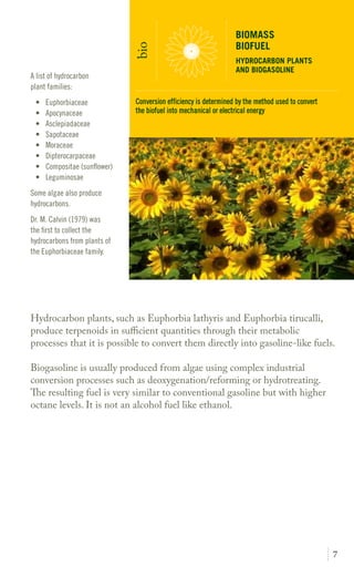 7
Hydrocarbon plants, such as Euphorbia lathyris and Euphorbia tirucalli,
produce terpenoids in sufficient quantities though their metabolic
processes that it is possible to convert them directly into gasoline-like fuels.
Biogasoline is usually produced from algae using complex industrial
conversion processes such as deoxygenation/reforming or hydrotreating.
The esulting fuel is very similar to conventional gasoline but with higher
octane levels. It is not an alcohol fuel like ethanol.
A list of hydrocarbon
plant families:
•	 Euphorbiaceae
•	 Apocynaceae
•	 Asclepiadaceae
•	 Sapotaceae
•	 Moraceae
•	 Dipterocarpaceae
•	 Compositae (sunflower)
•	 Leguminosae
Some algae also produce
hydrocarbons.
Dr. M. Calvin (1979) was
the first to collect the
hydrocarbons from plants of
the Euphorbiaceae family.
BIOMASS
BIOFUEL
HYDROCARBON PLANTS
AND BIOGASOLINE
bio
Conversion efficiency is determined by the method used to convert
the biofuel into mechanical or electrical energy
HYDROCARBON PLANTS
 