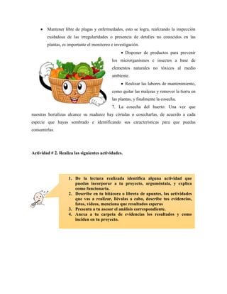  Mantener libre de plagas y enfermedades, esto se logra, realizando la inspección
cuidadosa de las irregularidades o presencia de detalles no conocidos en las
plantas, es importante el monitoreo e investigación.
 Disponer de productos para prevenir
los microrganismos e insectos a base de
elementos naturales no tóxicos al medio
ambiente.
 Realizar las labores de mantenimiento,
como quitar las malezas y remover la tierra en
las plantas, y finalmente la cosecha.
7. La cosecha del huerto: Una vez que
nuestras hortalizas alcance su madurez hay córtalas o cosecharlas, de acuerdo a cada
especie que hayas sembrado e identificando sus características para que puedas
consumirlas.
Actividad # 2. Realiza las siguientes actividades.
1. De la lectura realizada identifica alguna actividad que
puedas incorporar a tu proyecto, arguméntala, y explica
como funcionaria.
2. Describe en tu bitácora o libreta de apuntes, las actividades
que vas a realizar, llévalas a cabo, describe tus evidencias,
fotos, videos, menciona que resultados esperas
3. Presenta a tu asesor el análisis correspondiente.
4. Anexa a tu carpeta de evidencias los resultados y como
inciden en tu proyecto.
 