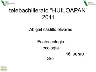 telebachillerato “HUILOAPAN” 2011 Abigail castillo olivares Ecotecnologia ecología 16  JUNIO  2011  